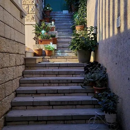 Pino *